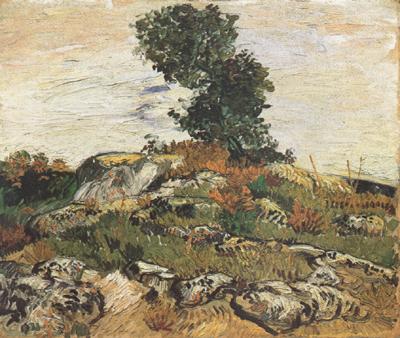 Vincent Van Gogh Rocks with Oak Trees (nn04) oil painting picture